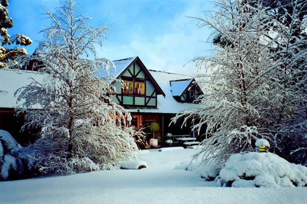 luxury chalet business