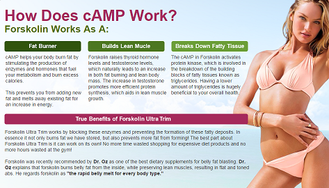 verified forskolin pharmaceutical.